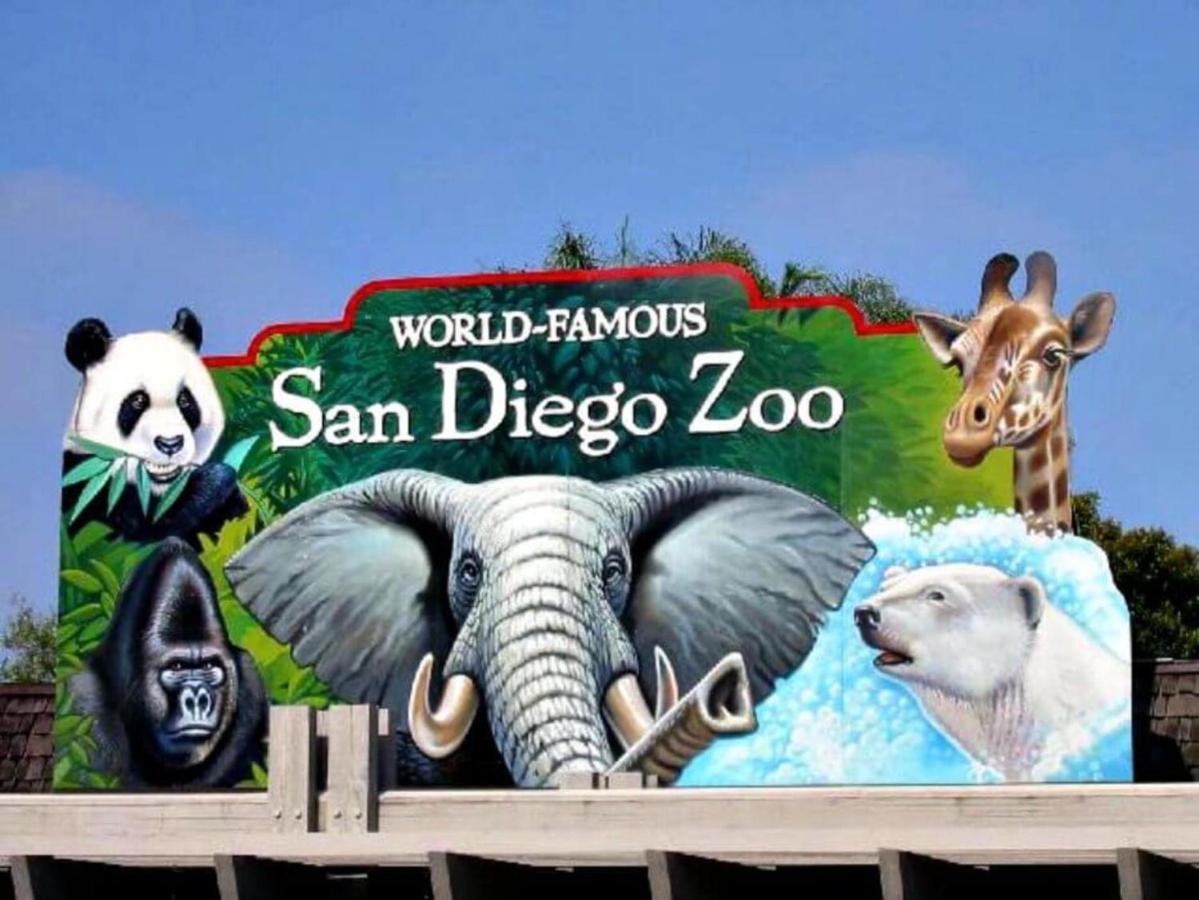 Viva San Diego Luaran gambar
